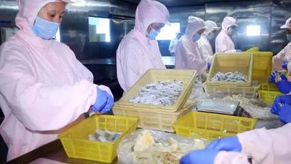 半島味道獻(xiàn)禮 一份滿載象山風(fēng)情的海鮮禮包，獻(xiàn)給最珍貴的您