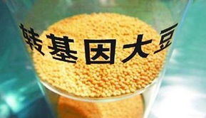 金龍魚陷轉(zhuǎn)基因門風(fēng)波 專家稱安全性尚無定論，對酒類經(jīng)營有何啟示？